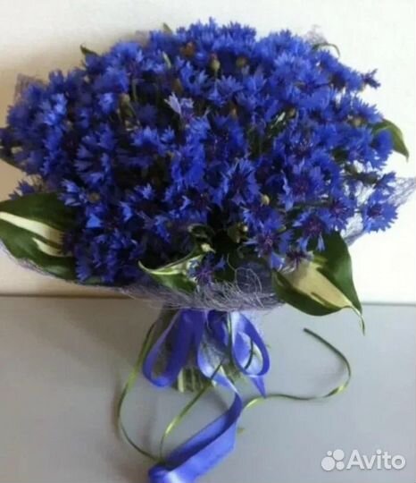 Васильки цветы букет