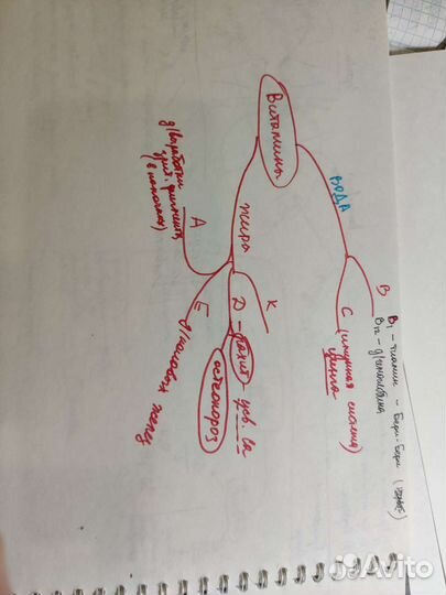Репетитор по био, медицине. Расшифровка анализов
