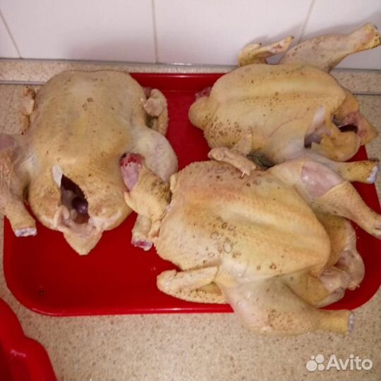 Мясо бройлерного цыплёнка из деревни