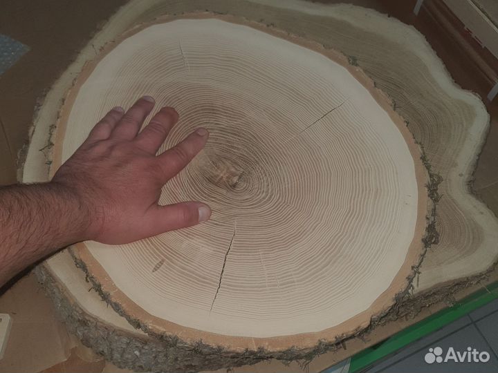 Спил дерева, дуб, ясень, каштан, кипарис, ольха