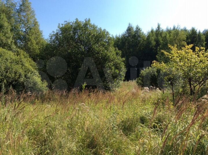 Участок 6 сот. (СНТ, ДНП)
