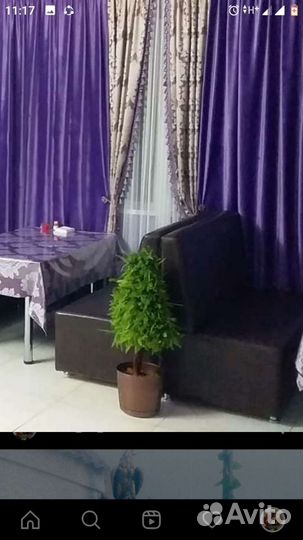 Искусственные деревья и цветы