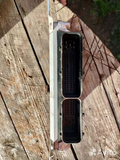 Продам мозги