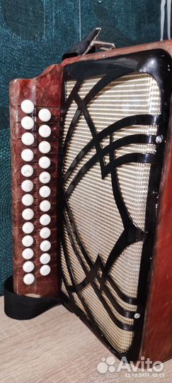 Гармонь шуйская чайка