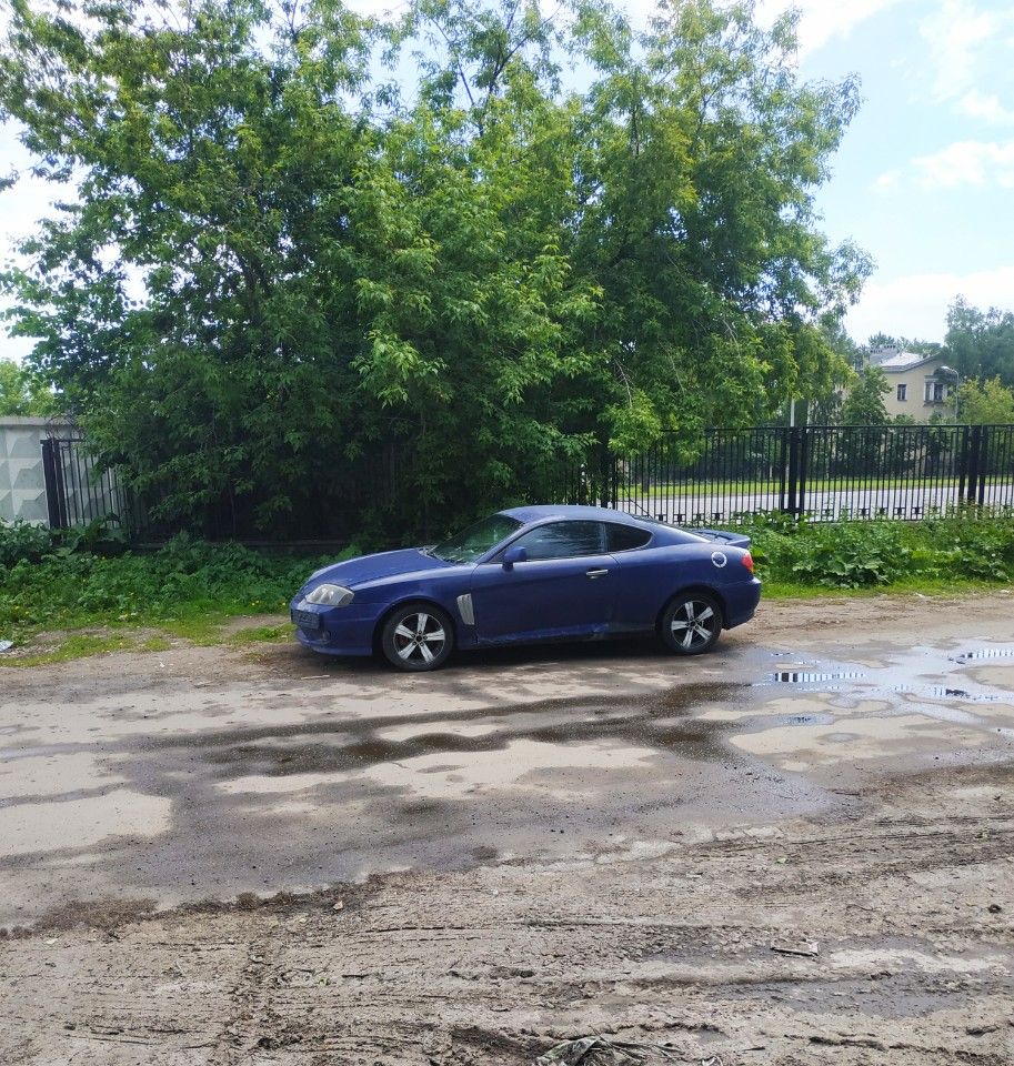Hyundai Tiburon: фото владельца