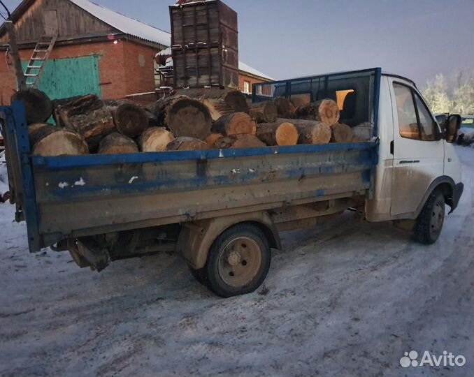 Пеньки березовые