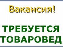 Товаровед - кладовщик магазина одежды