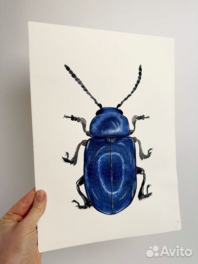 Картина «Жук»