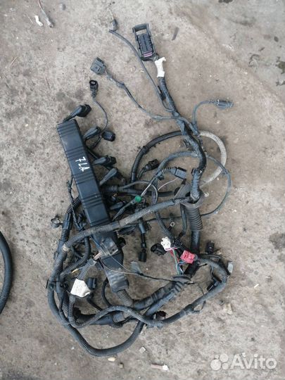 Проводка двигателя Volkswagen Touareg 7LA