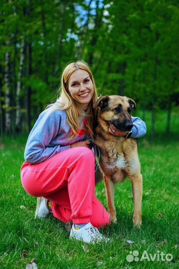 Спасите собаку из приюта