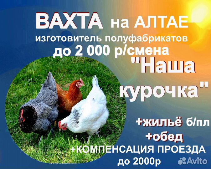 Изготовитель полуфабрикатов вахтажилье обед проезд