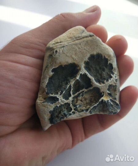 Необычный природный камень анатомического вида