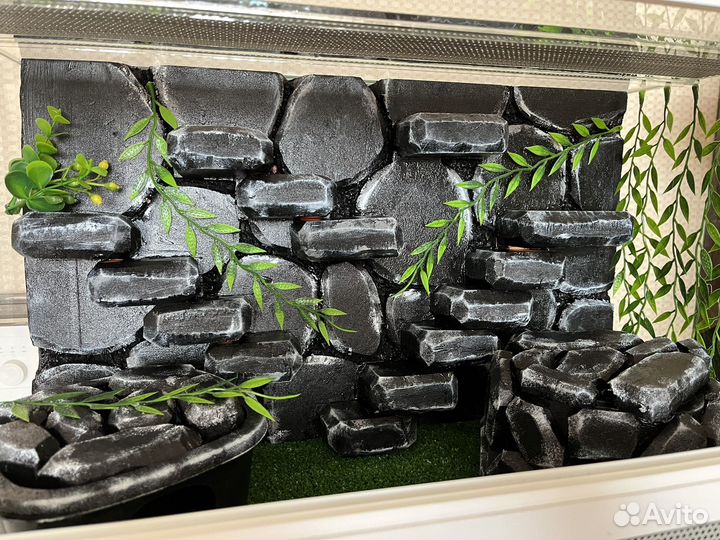 Террариум для рептилий