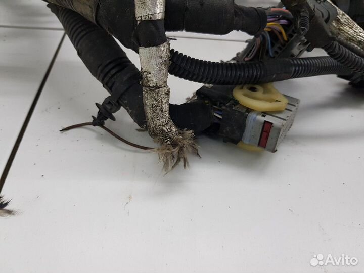 Электропроводка двигателя (Ford Transit viii)