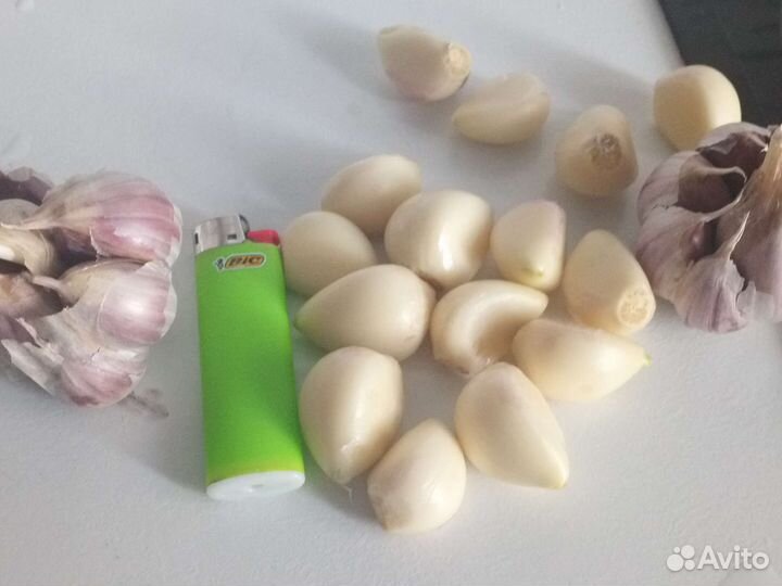 Чеснок