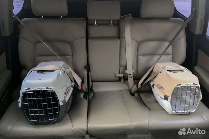 Переноска для кошек