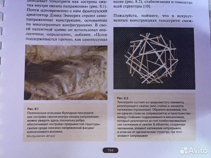 Фасция Учебник