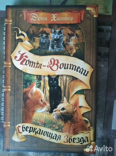Коты воители сверкающая звезда