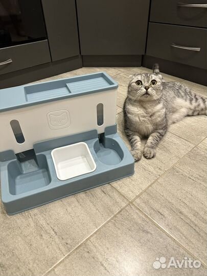 Миски для кошек