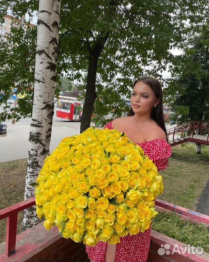 Розы 201 роза