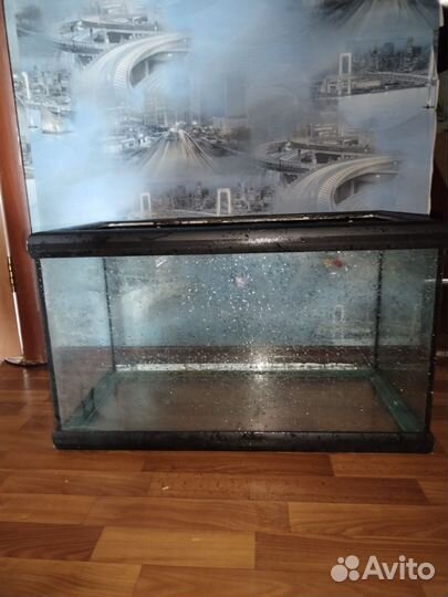 Аквариум