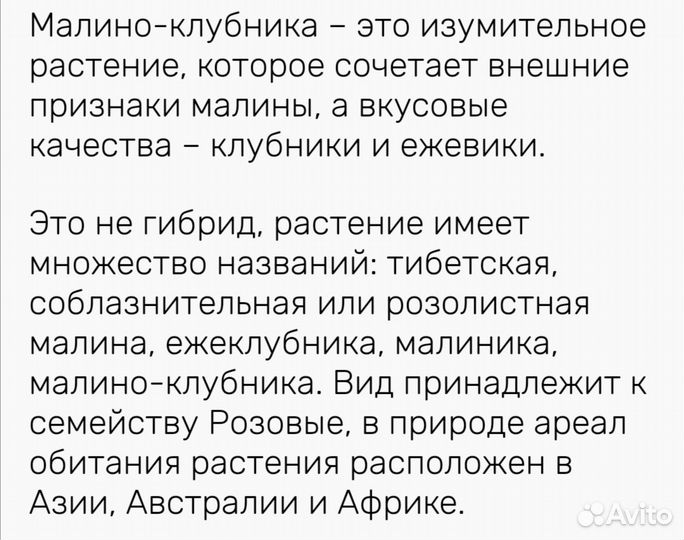 Тибетская малина