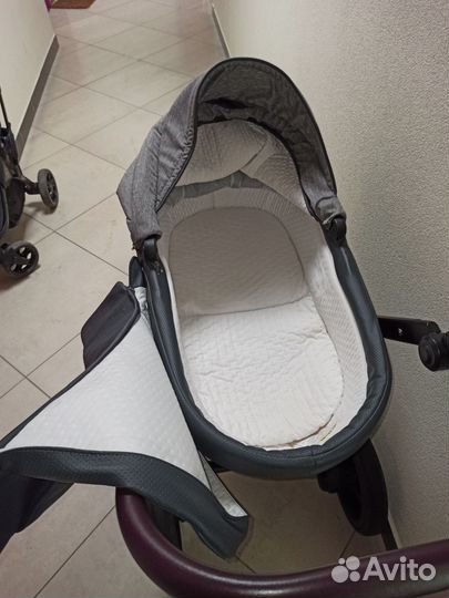 Коляска 2 в 1 Esprit Snolly