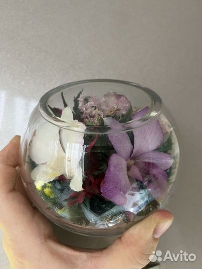 Цветы живые в стекле, орхидеи