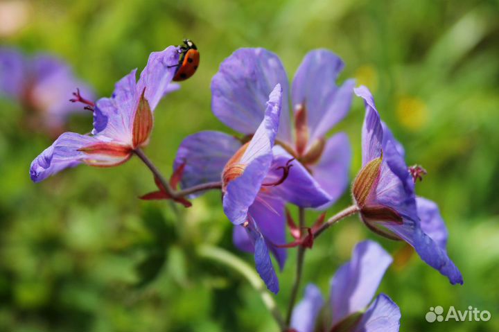 Фотосъемка