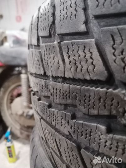 Dunlop All Season Maxx AS1 205/55 R16