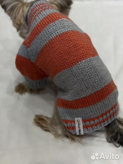 Одежда для собак