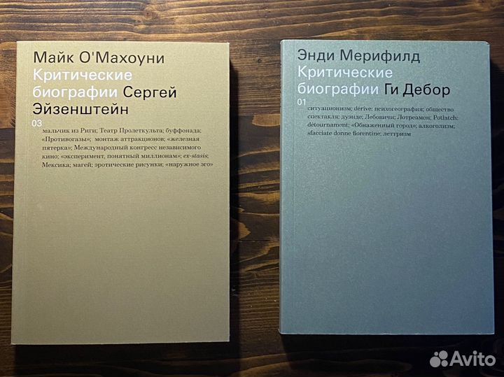 Критические биографии Эйзенштейн ад маргинем