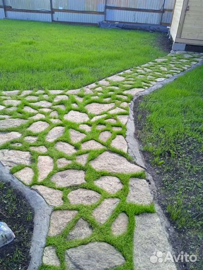 Укладка тротуарной плитки