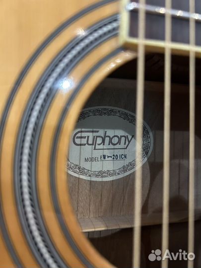Акустическая гитара Euphony EW-201CN