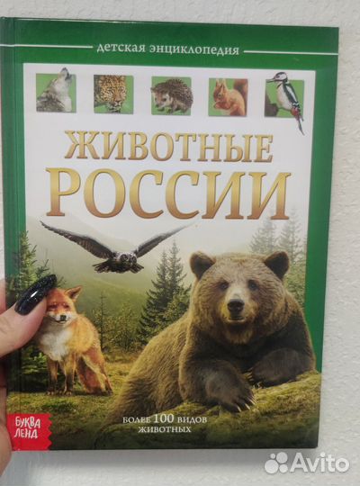 Книга Enchantimals В волшебном лесу