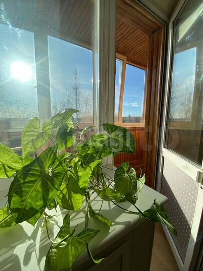 3-к. квартира, 58,8 м², 3/4 эт.