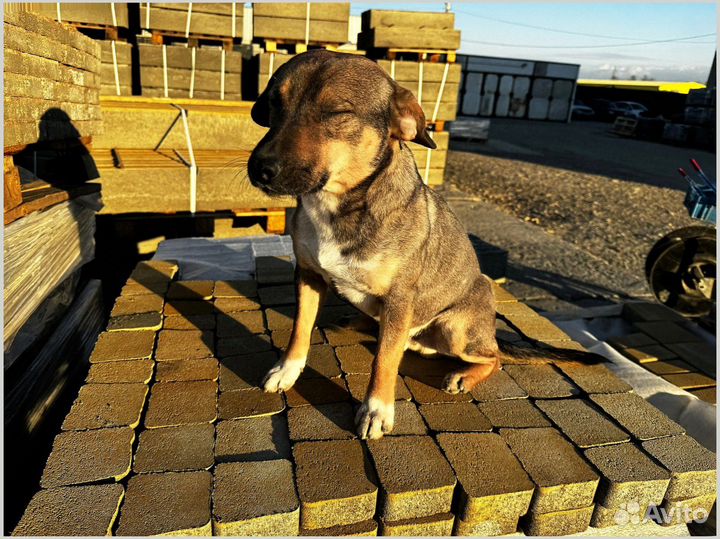 Тротуарная плитка с завода от 120 м2