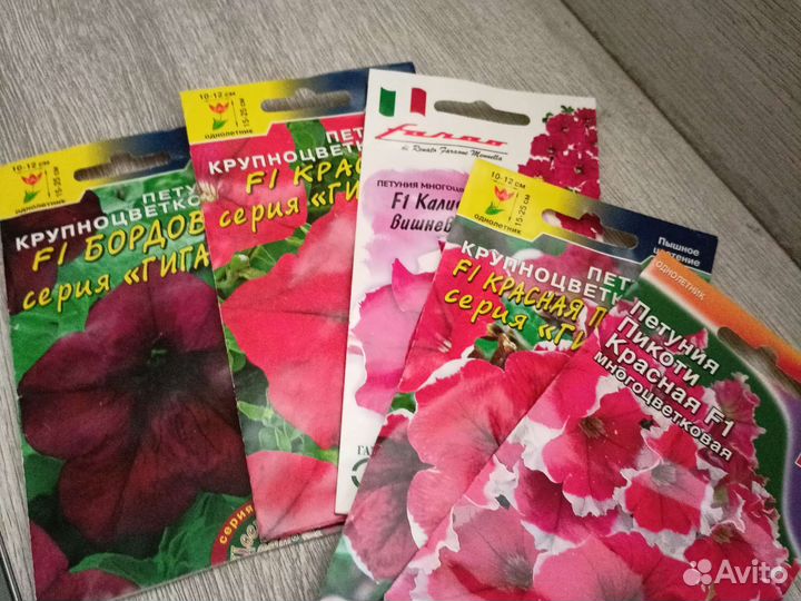 Семена коллекционных петуний и бархатцев