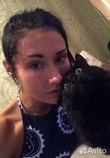 Домашняя передержка животных