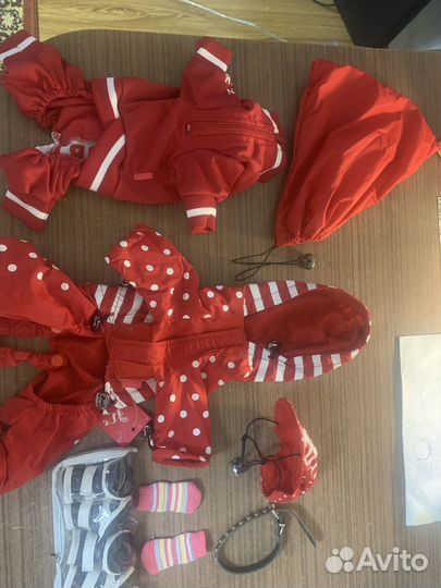 Клмплект одежды для маленькой породы собачки