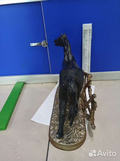 Конь у изгороди