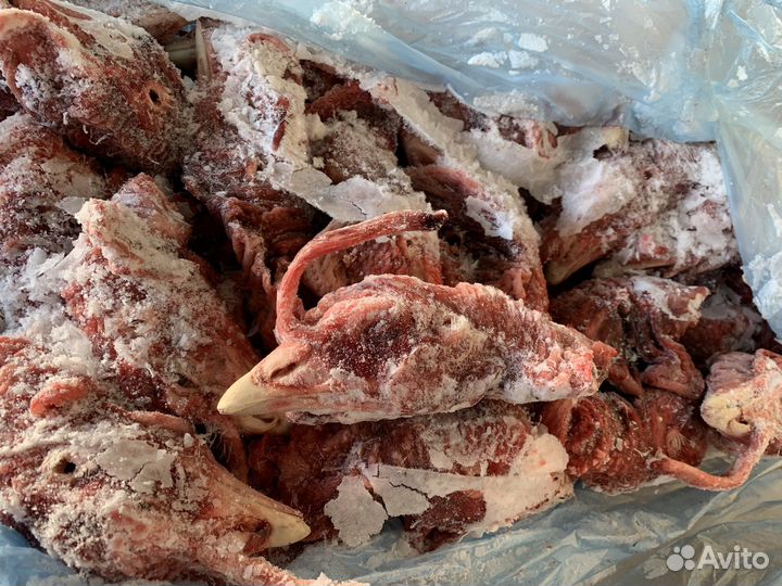 Индейка субпродукты в ассортименте