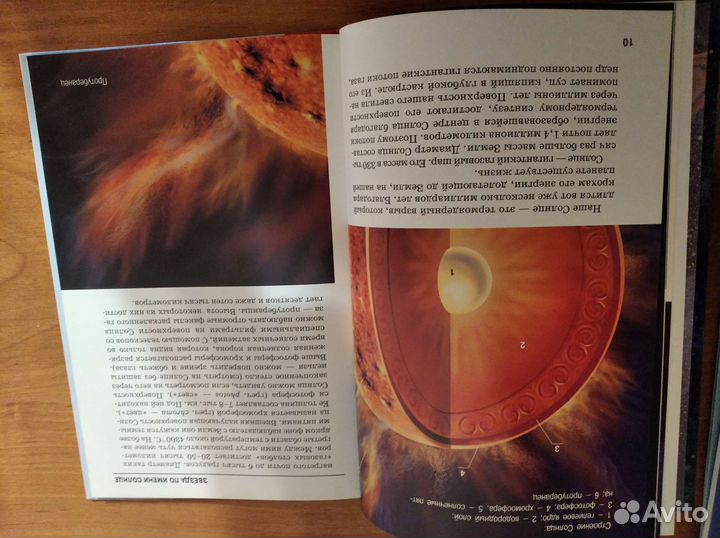 Детская энциклопедии про акул и космос