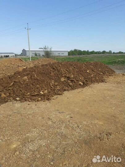 Тырса дорожная