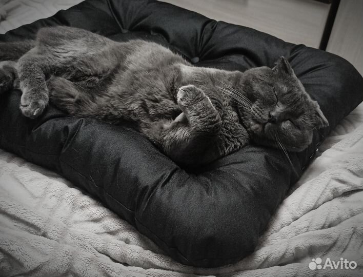 Лежанка для животных