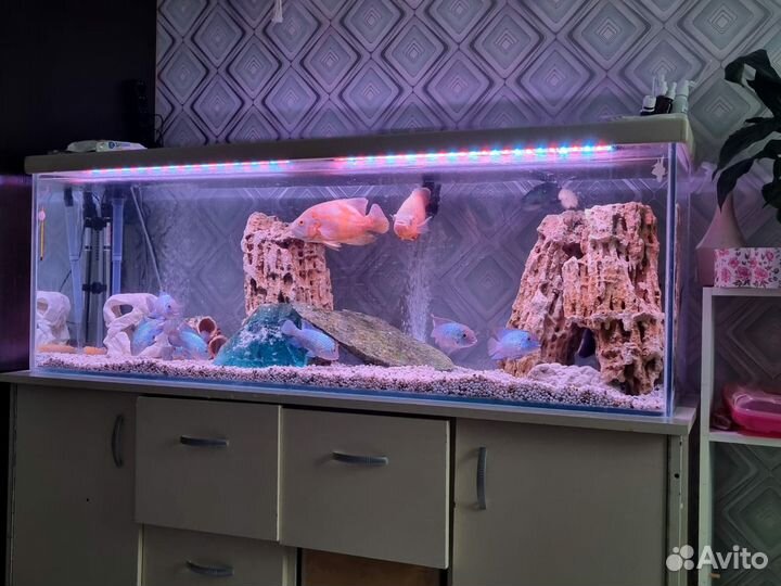 Аквариум с тумбой 400 литров