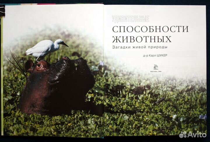 Книга Удивительные способности животных