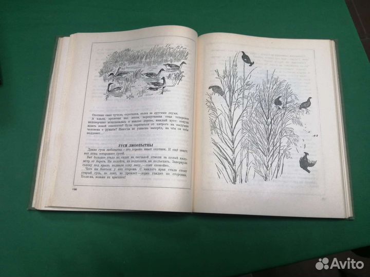 Виталий Бианки Лесная газета 1955г