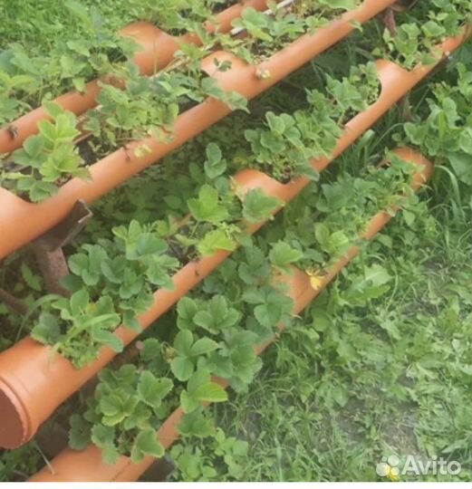 Труба пвх для огорода