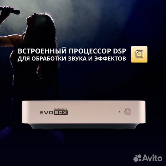 Караоке система для дома Evolution Evobox Gold